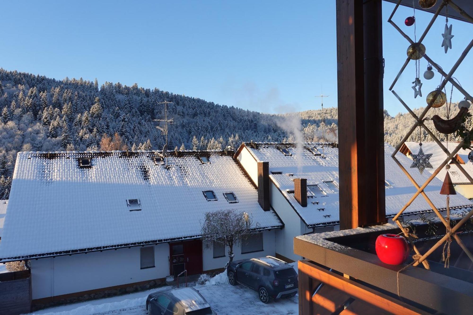 Apartments Amalia - Mit Wlan Und Sky In Traumhafter Lage Todtmoos Oda fotoğraf